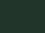 0 RAL-6009 0 RAL-6009
